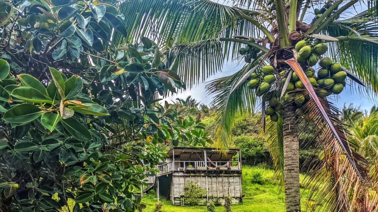 Guanaja Backpackers Hostel Exterior photo