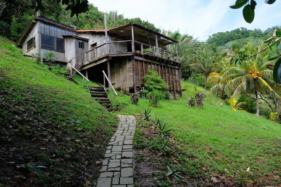 Guanaja Backpackers Hostel Exterior photo